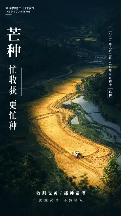 芒种