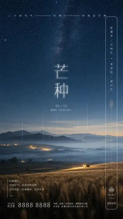 芒种星雾节气海报