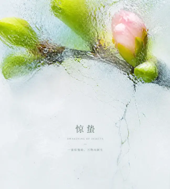 惊蛰新芽