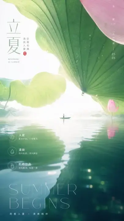立夏巨荷初荫水面海报