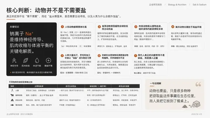 样张-02