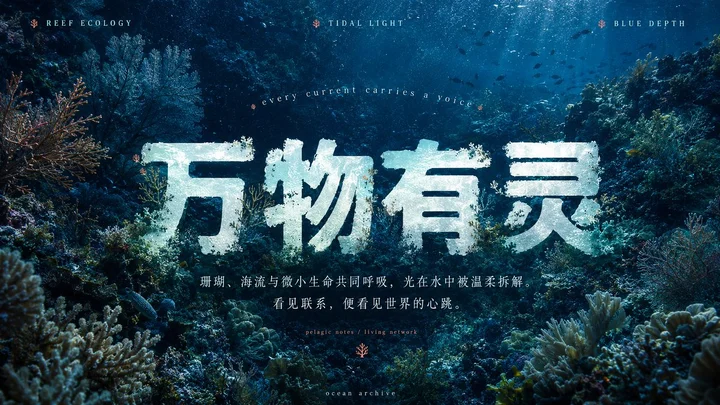 样张-01