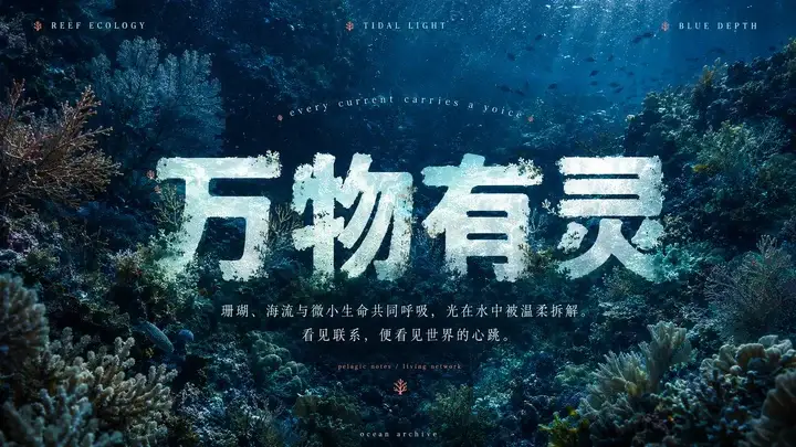 样张-01