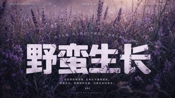 样张-05