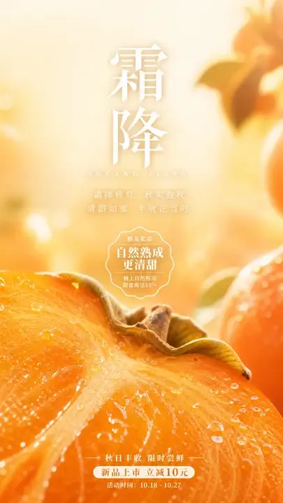 柿子丰收节气海报