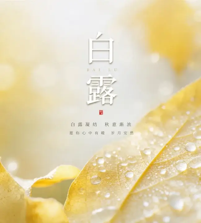 白露叶影