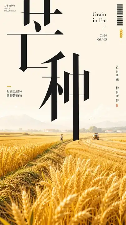 芒种麦田