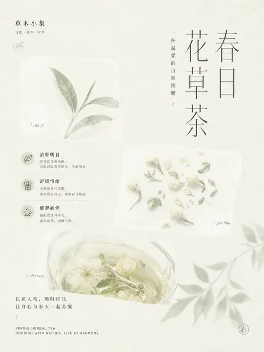 养生花草茶