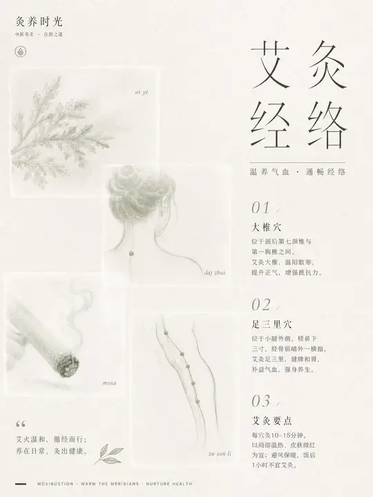 艾灸养生科普