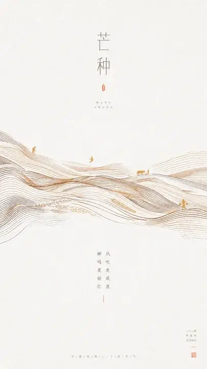 芒种麦浪