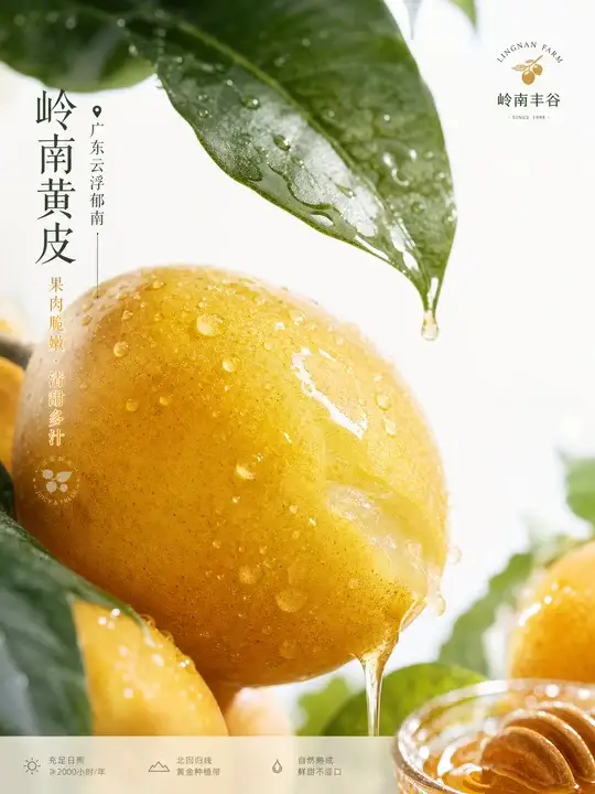 岭南黄皮鲜果广告