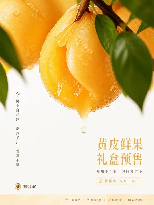 黄皮礼盒预售物料