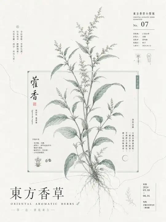 青瓷香草展签