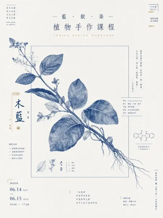 蓝靛染植物课程海报