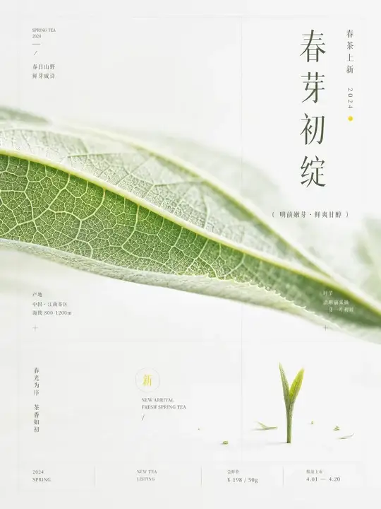 春茶晨露上新海报